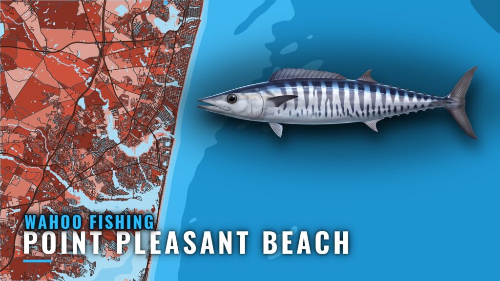 Wahoo Fishing out of Point Pleasant Beach: Where and How