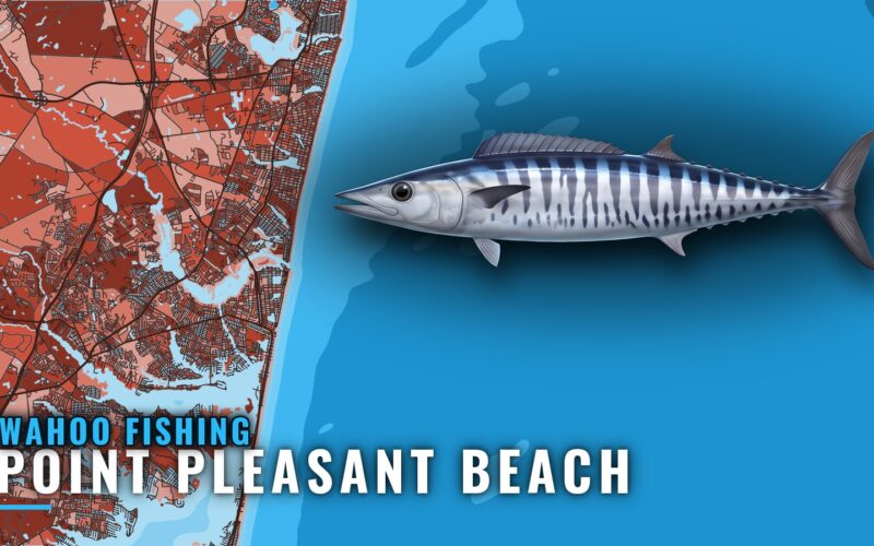 Wahoo Fishing out of Point Pleasant Beach: Where and How