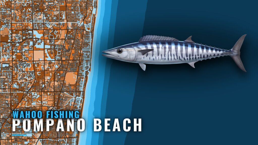 Wahoo Fishing Out of Pompano Beach: Grounds and Season