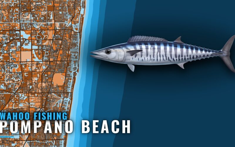 Wahoo Fishing Out of Pompano Beach: Grounds and Season