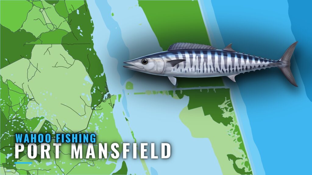 Wahoo Fishing out of Port Mansfield: The Offshore Run