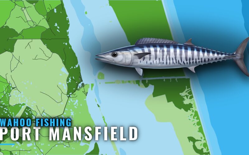 Wahoo Fishing out of Port Mansfield: The Offshore Run