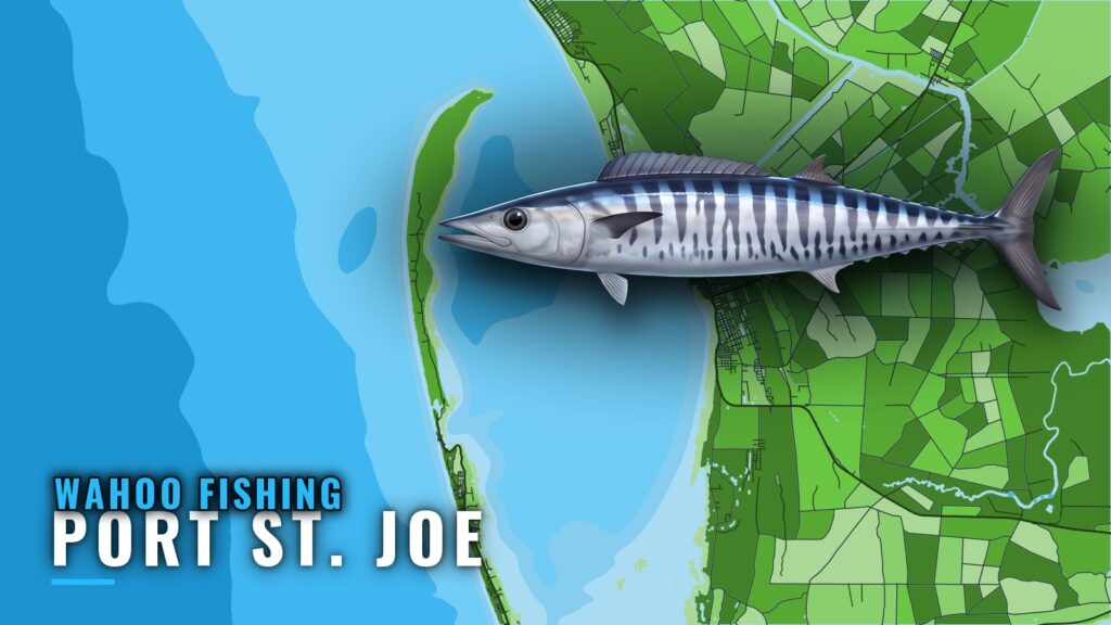 Wahoo Fishing Out of Port St. Joe: Season, Reefs, Runs