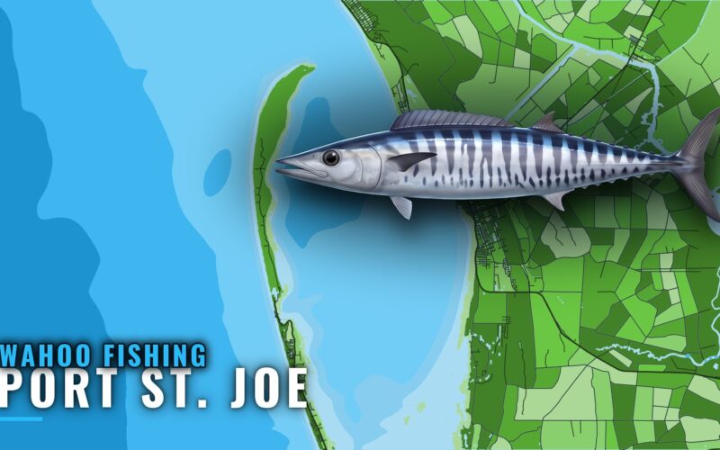 Wahoo Fishing Out of Port St. Joe: Season, Reefs, Runs