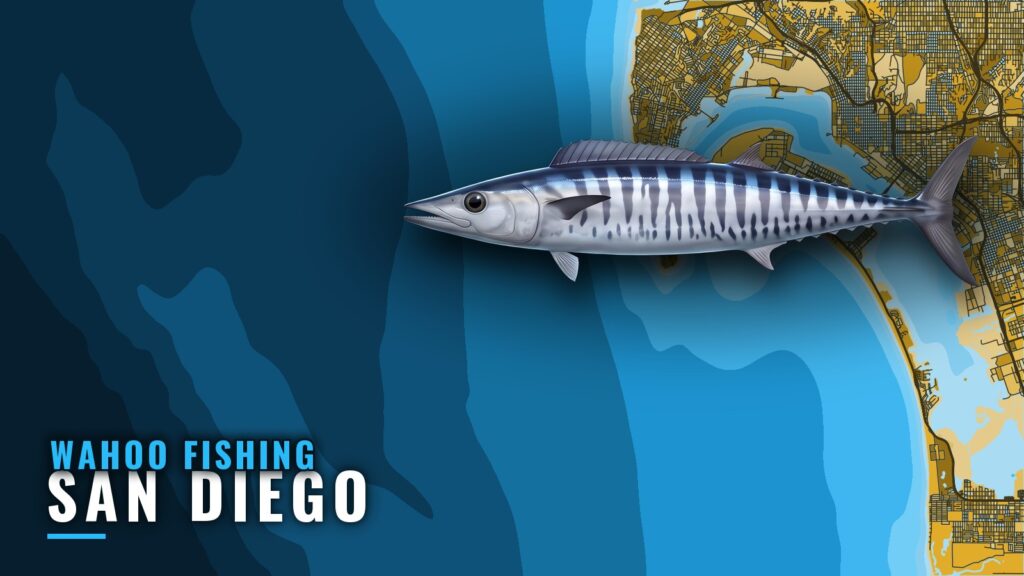 Wahoo Fishing Out of San Diego: Where to Look