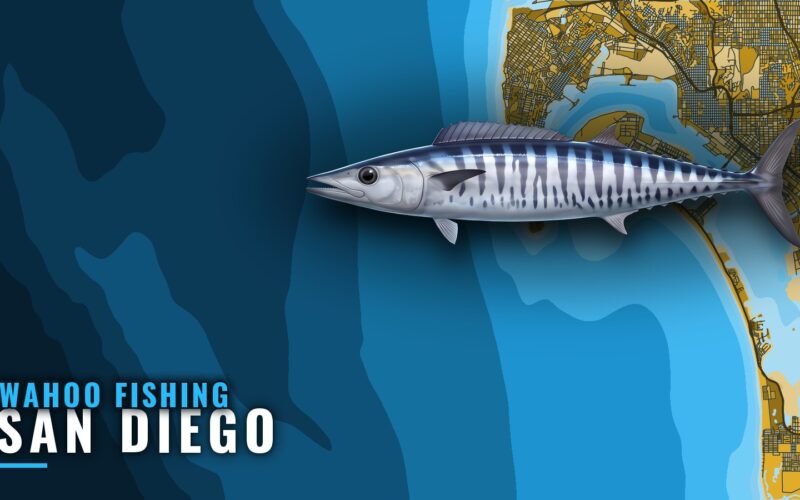 Wahoo Fishing Out of San Diego: Where to Look