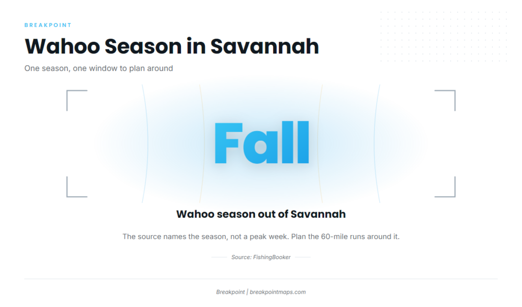 Wahoo Fishing Out of Savannah: Season, Grounds and Run