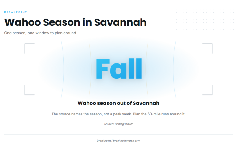 Wahoo Fishing Out of Savannah: Season, Grounds and Run