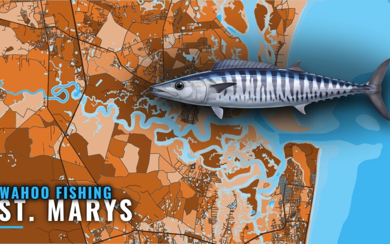 Wahoo Fishing Out of St. Marys: The Ledge Run