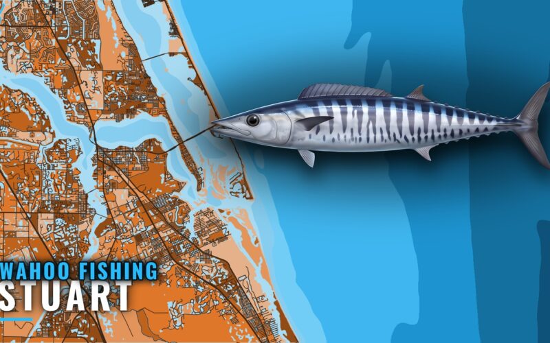 Wahoo Fishing out of Stuart: Seasons, Reefs and Methods