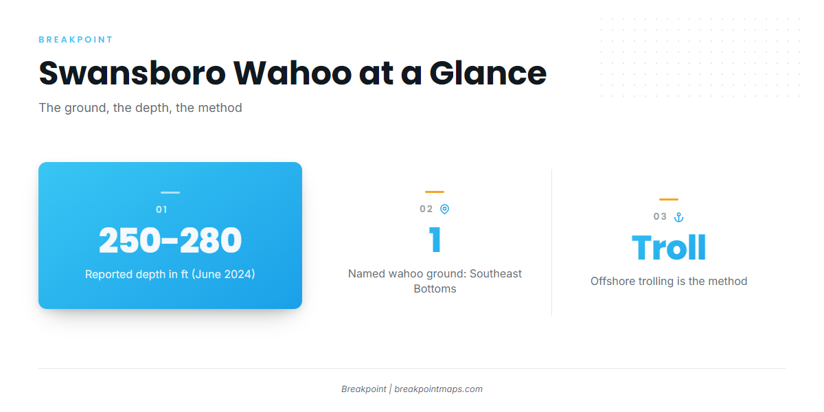 Where Swansboro boats find wahoo
