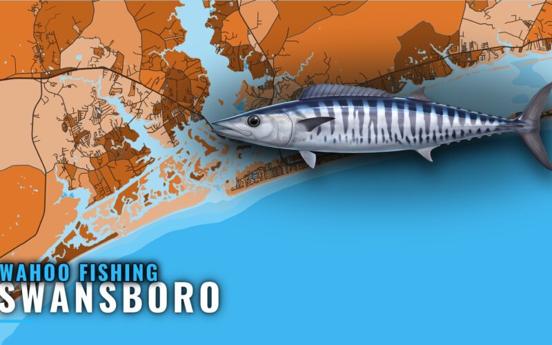 Wahoo Fishing Out of Swansboro: Grounds, Depth and Charters