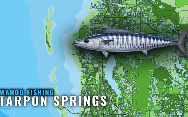 Wahoo Fishing Out of Tarpon Springs: Reefs and Trolling