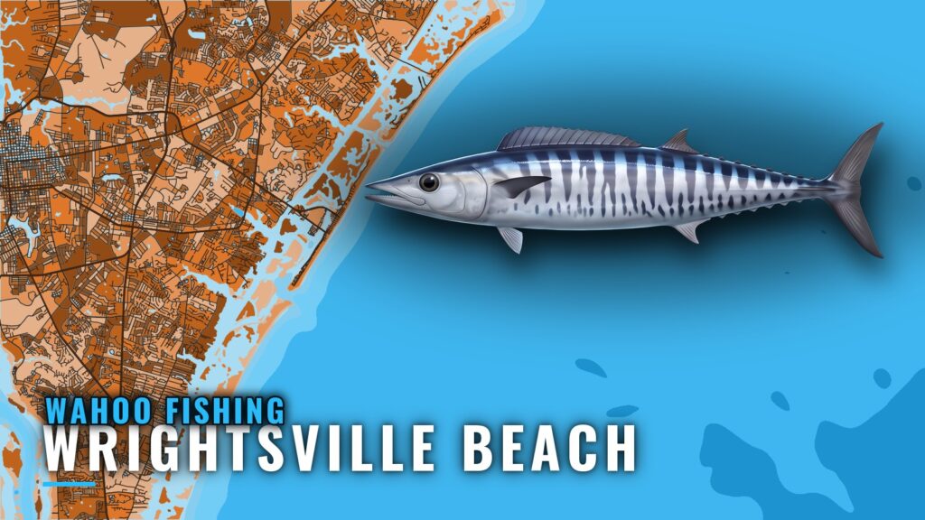 Wahoo Fishing out of Wrightsville Beach: When, Where, How