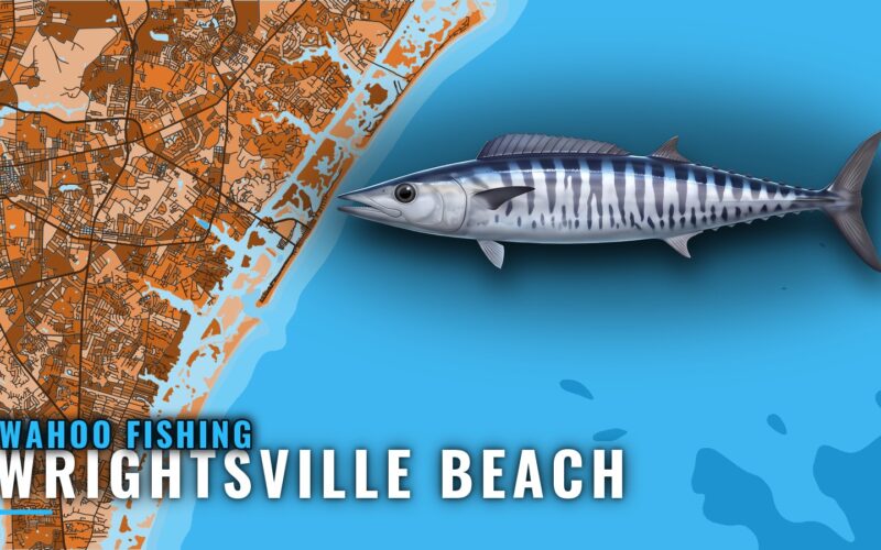 Wahoo Fishing out of Wrightsville Beach: When, Where, How