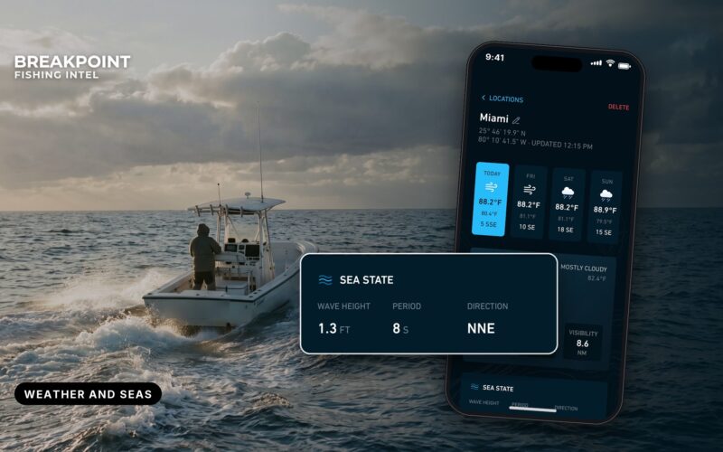 Weather, Waves and Tides for Offshore Anglers: What to Check