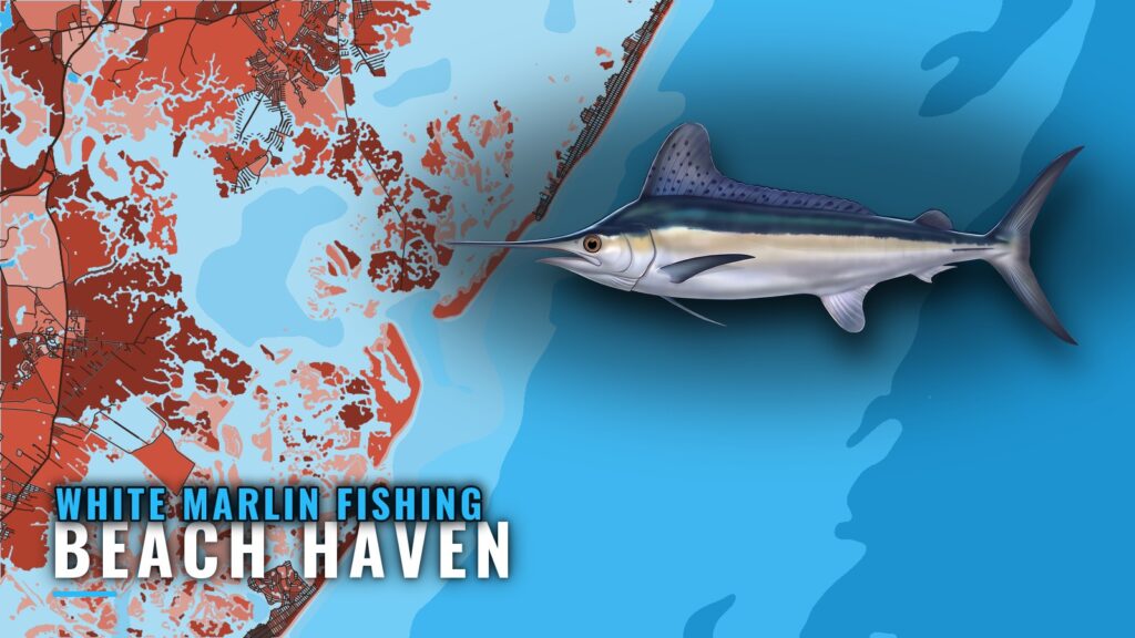 White Marlin Fishing out of Beach Haven: Canyons and Reefs