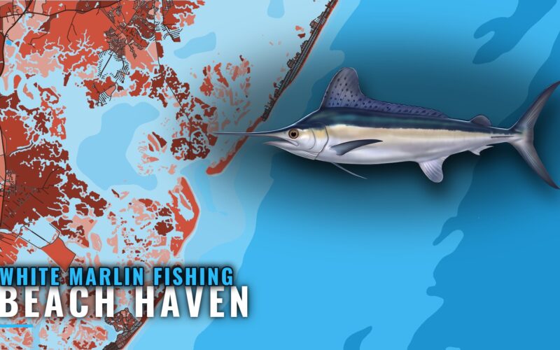 White Marlin Fishing out of Beach Haven: Canyons and Reefs