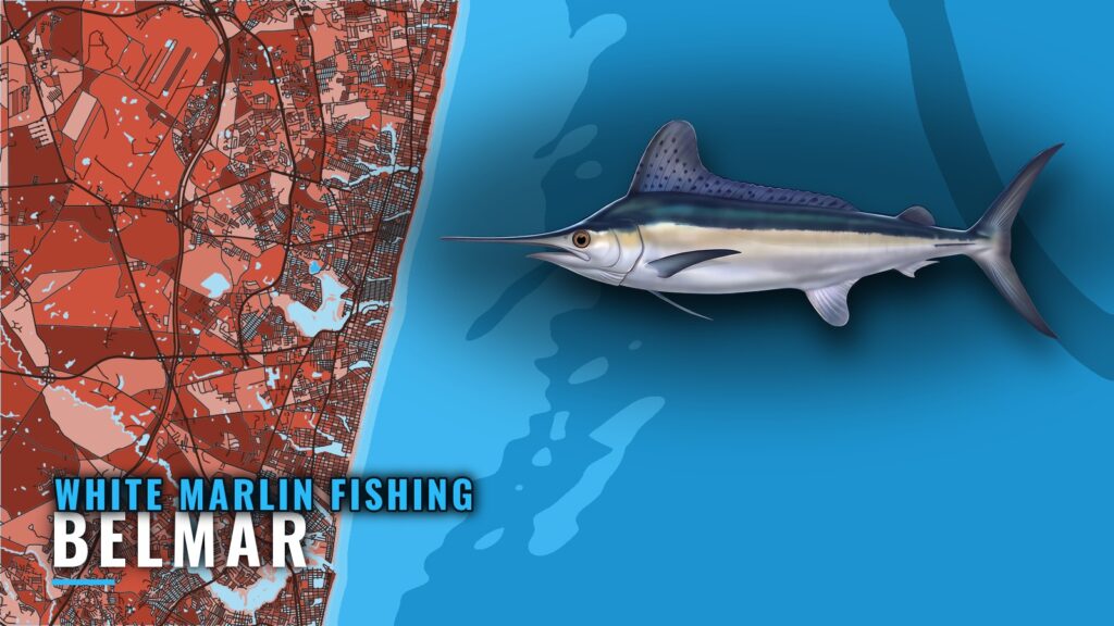 White Marlin Fishing out of Belmar: Grounds and the Run