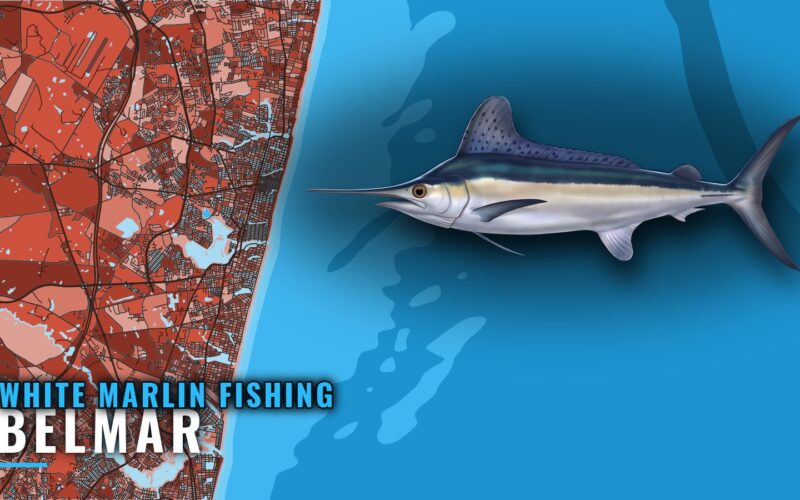 White Marlin Fishing out of Belmar: Grounds and the Run