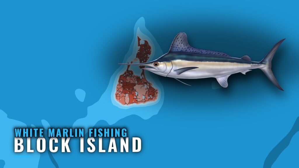 White Marlin Fishing Out of Block Island: The Canyon Run