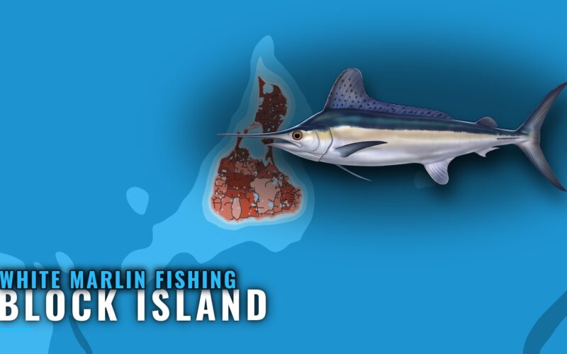 White Marlin Fishing Out of Block Island: The Canyon Run