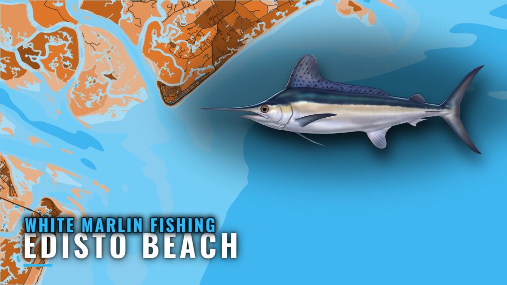 White Marlin Fishing Out of Edisto Beach: Reefs and Ledge
