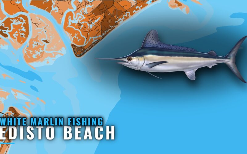 White Marlin Fishing Out of Edisto Beach: Reefs and Ledge