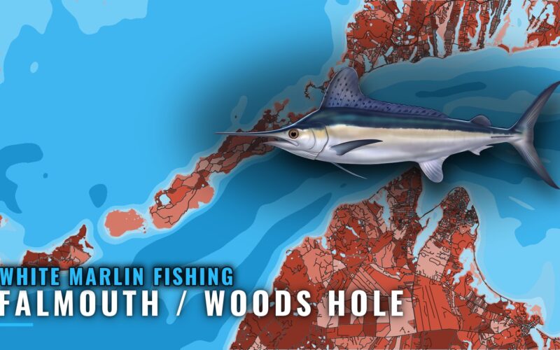 White Marlin Fishing Out of Falmouth / Woods Hole, MA