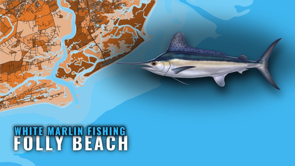 White Marlin Fishing Out of Folly Beach: The Run Offshore