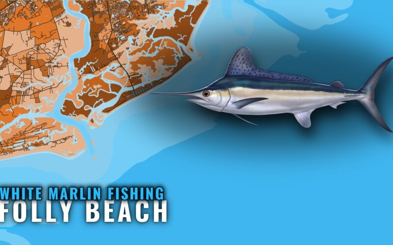 White Marlin Fishing Out of Folly Beach: The Run Offshore