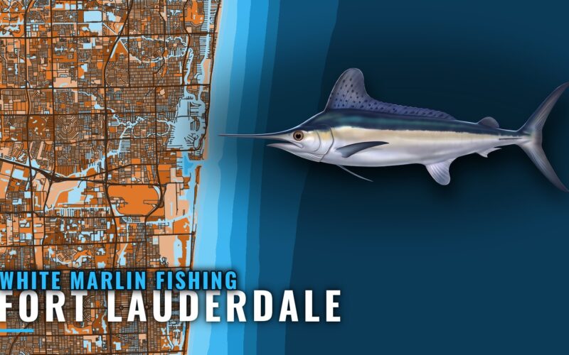 White Marlin Fishing out of Fort Lauderdale in October