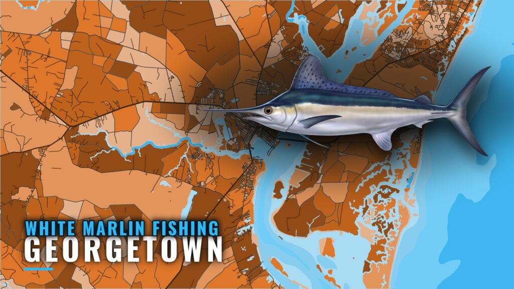 White Marlin Fishing out of Georgetown: A Waypoint Briefing