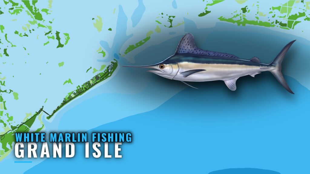 White marlin fishing out of Grand Isle: port briefing