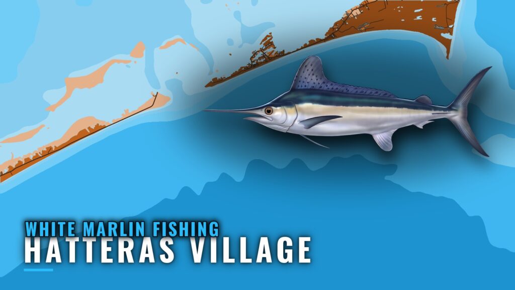 White Marlin Fishing Out of Hatteras Village: Where to Run