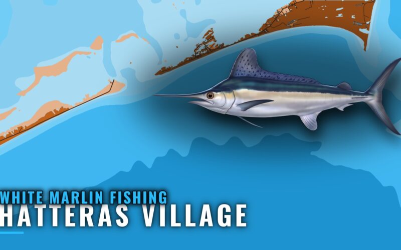 White Marlin Fishing Out of Hatteras Village: Where to Run