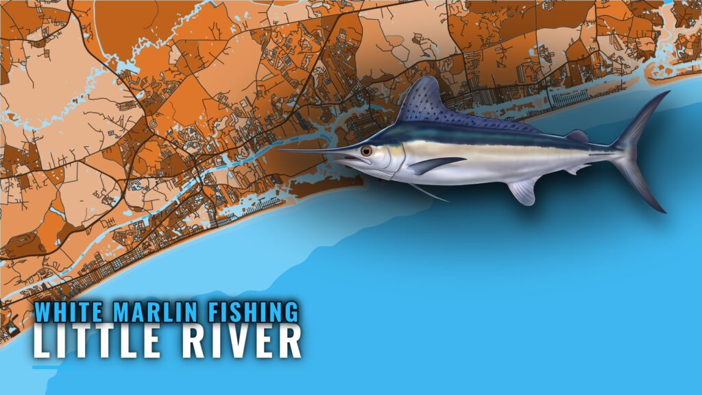 White Marlin Fishing out of Little River, SC