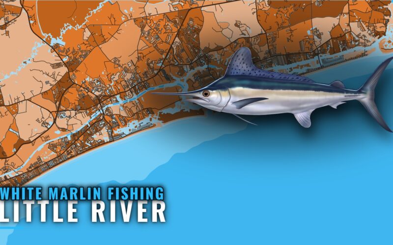 White Marlin Fishing out of Little River, SC