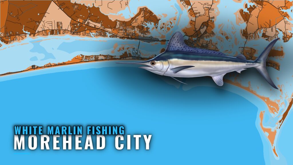 White Marlin Fishing out of Morehead City: When and Where