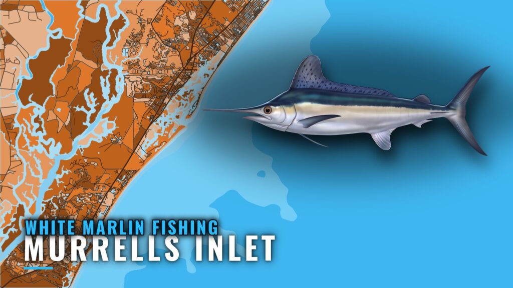 White Marlin Fishing Out of Murrells Inlet: Run and Grounds