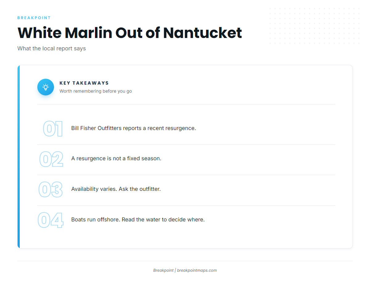 When white marlin are around Nantucket