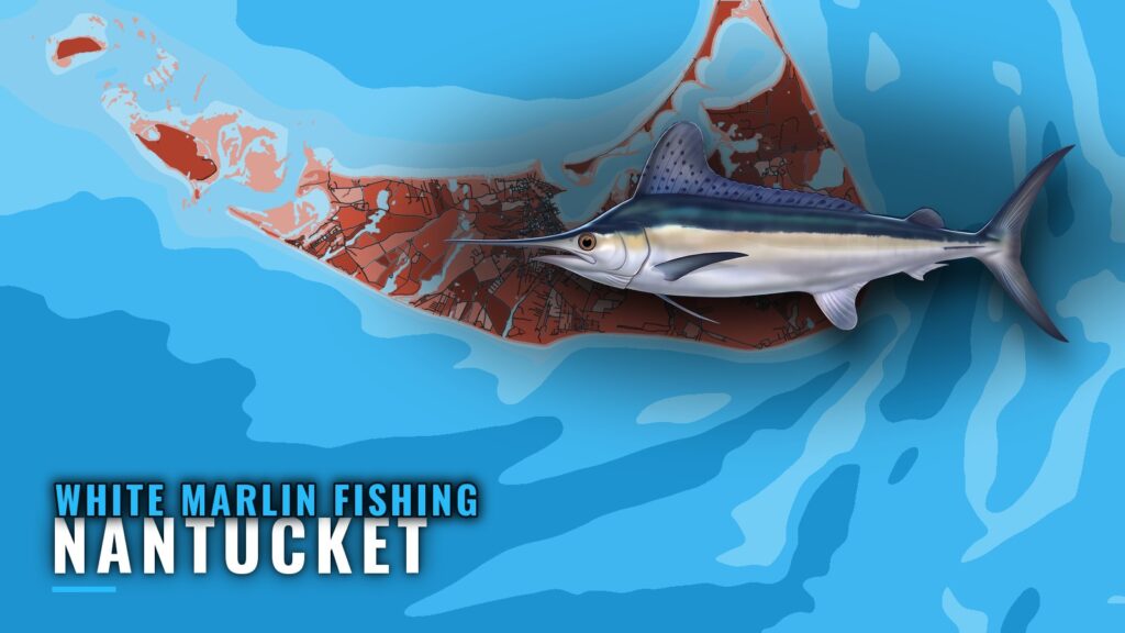 White Marlin Fishing Out of Nantucket: Where and Who