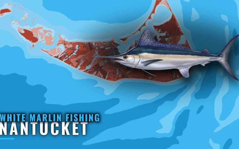 White Marlin Fishing Out of Nantucket: Where and Who