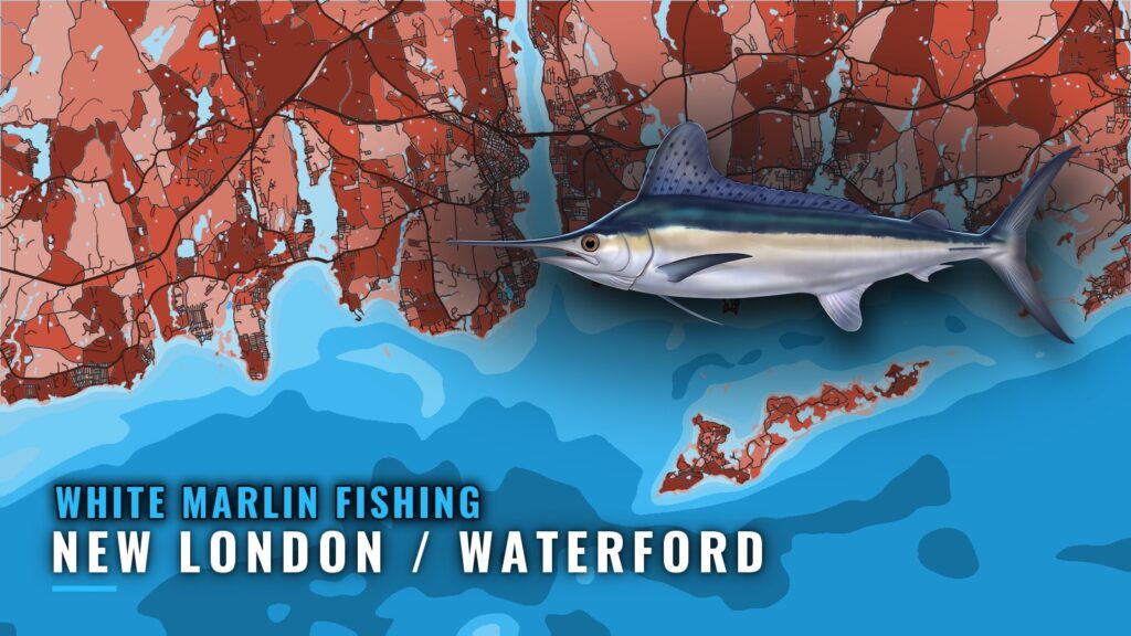 White Marlin Fishing out of New London / Waterford, CT