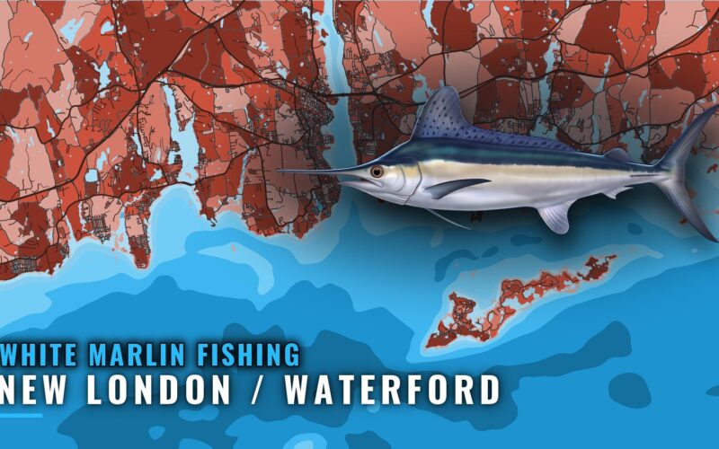 White Marlin Fishing out of New London / Waterford, CT