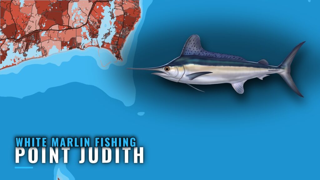 White Marlin Fishing out of Point Judith: Where and How