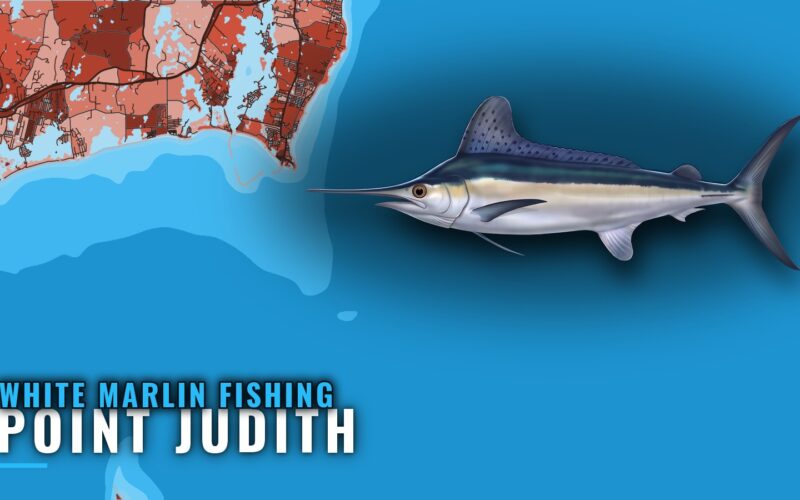 White Marlin Fishing out of Point Judith: Where and How