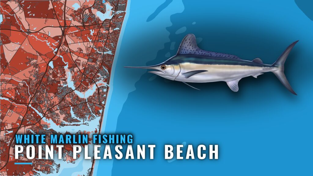 White Marlin Fishing out of Point Pleasant Beach, NJ