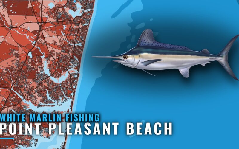 White Marlin Fishing out of Point Pleasant Beach, NJ