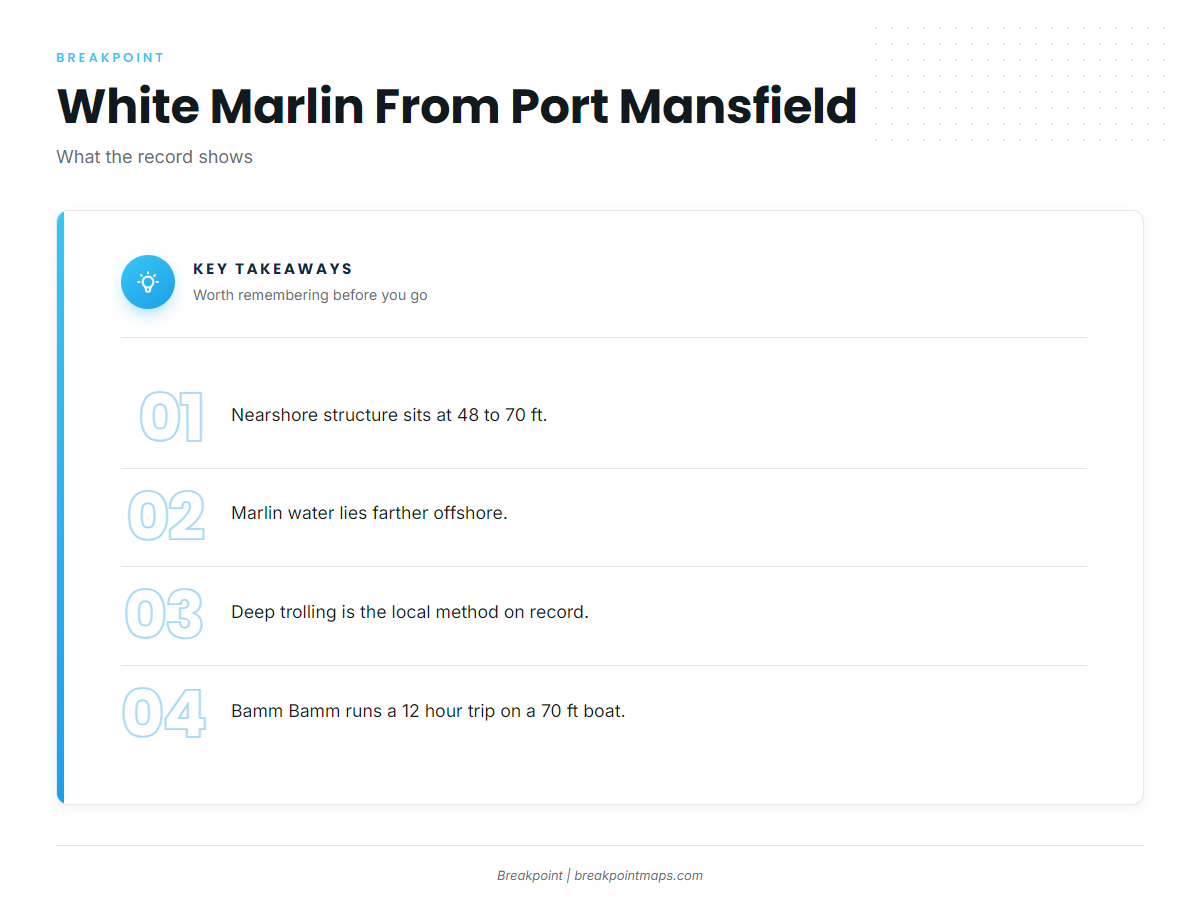 How white marlin are fished out of Port Mansfield